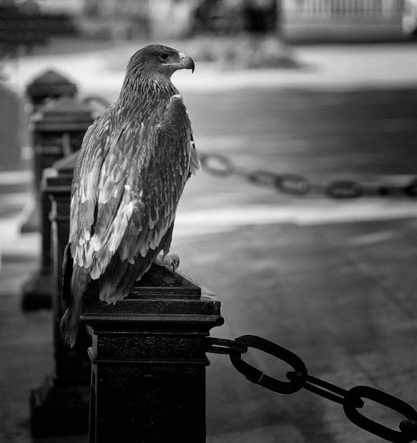 , Сергей Дымченко