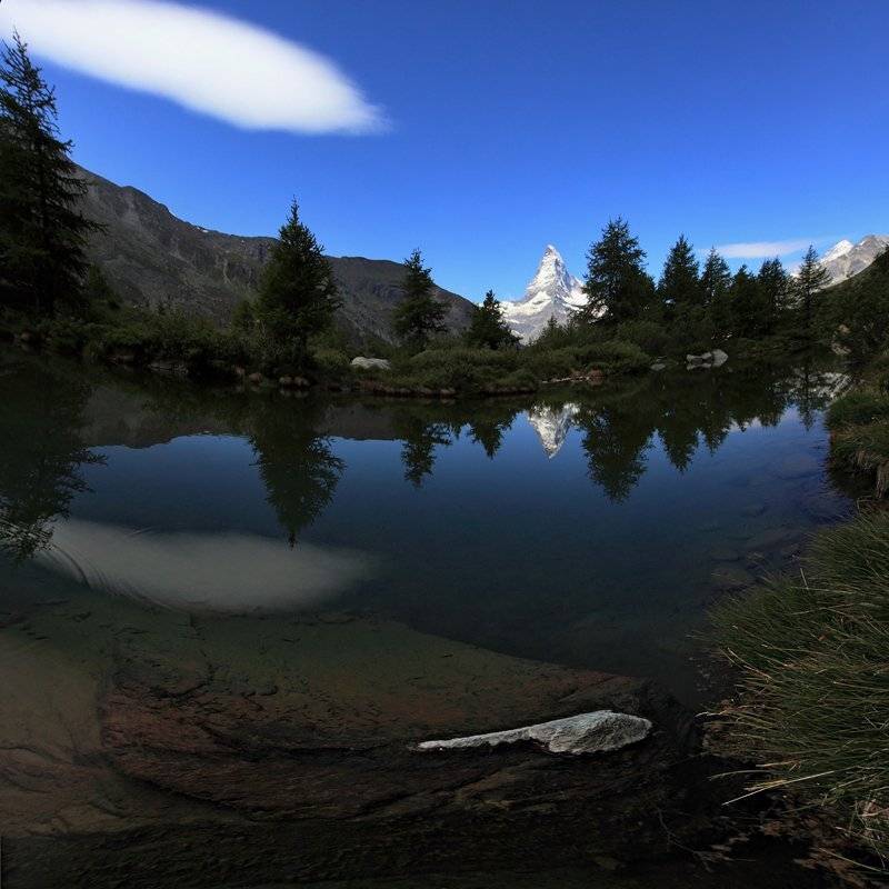 swiss, Матвеев Николай