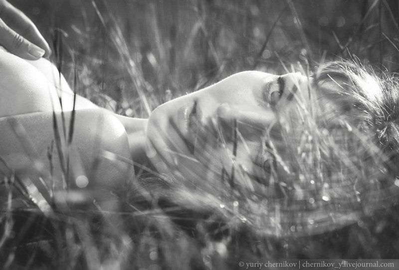 девушка, паутина, портрет  фото превью