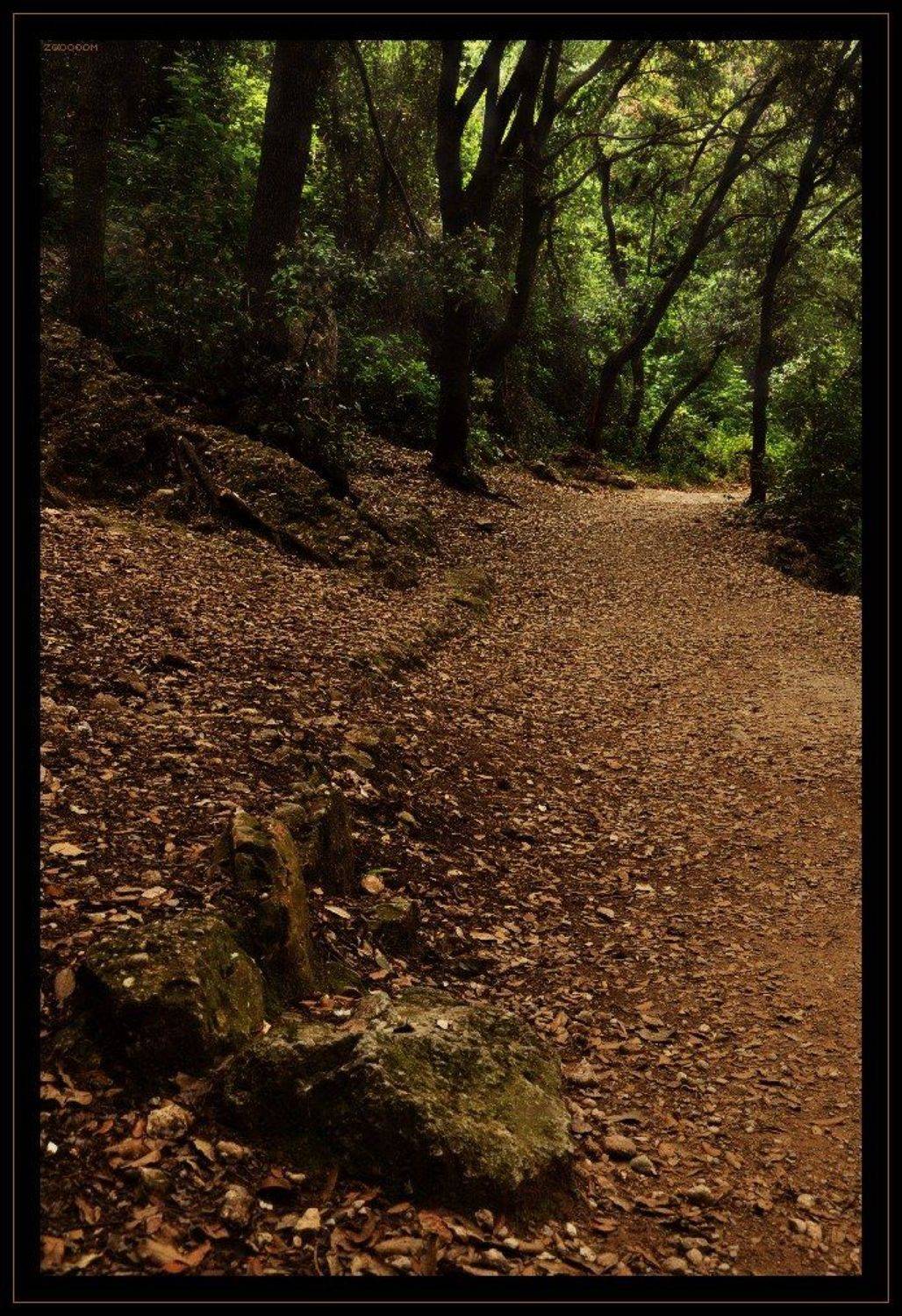 испания, каталония, монастырь, монсеррат, Алексей (zooooom)