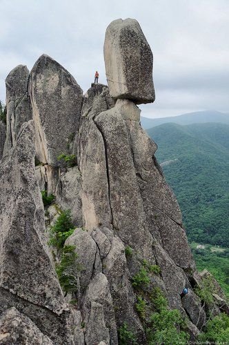 Приключения крупным планом