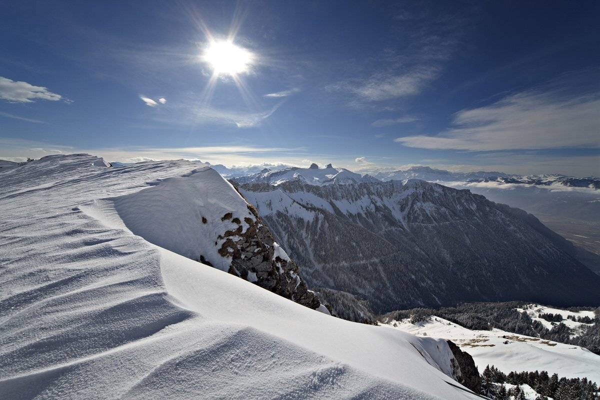 swiss, Матвеев Николай