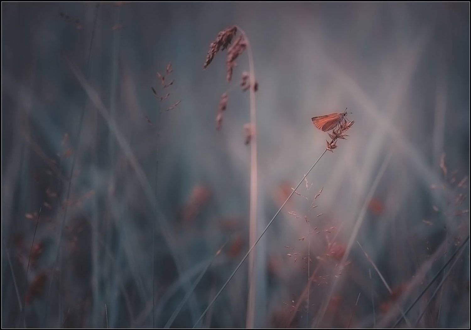 , Евгений Кирилкин.