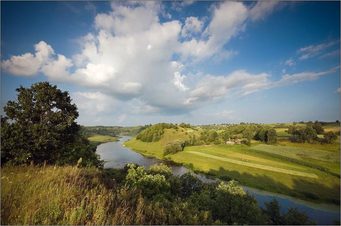 , Николай Шахманцир