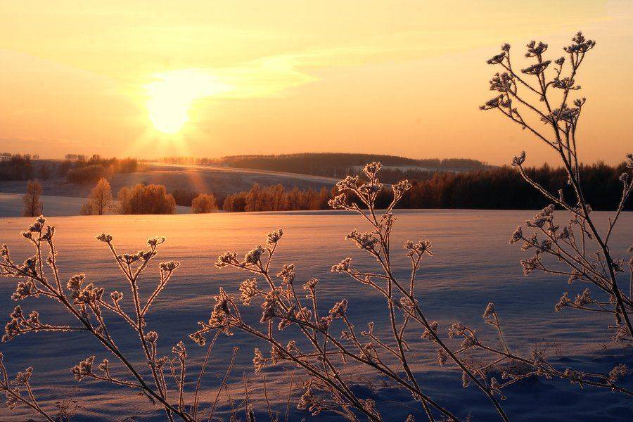 утро, восход, зима, Николай Морский