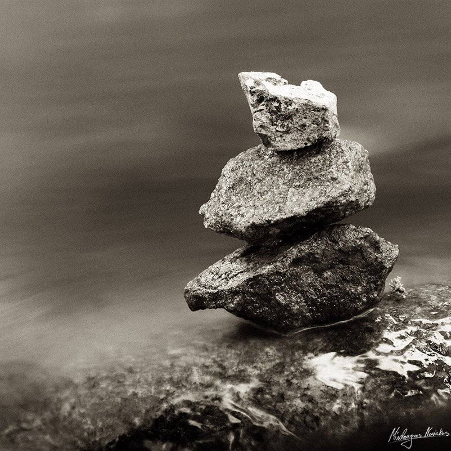 , Mindaugas Navickas