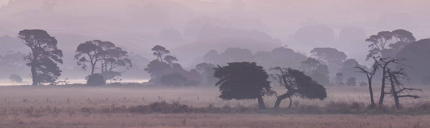 , Надежда Звягина / New Zealand