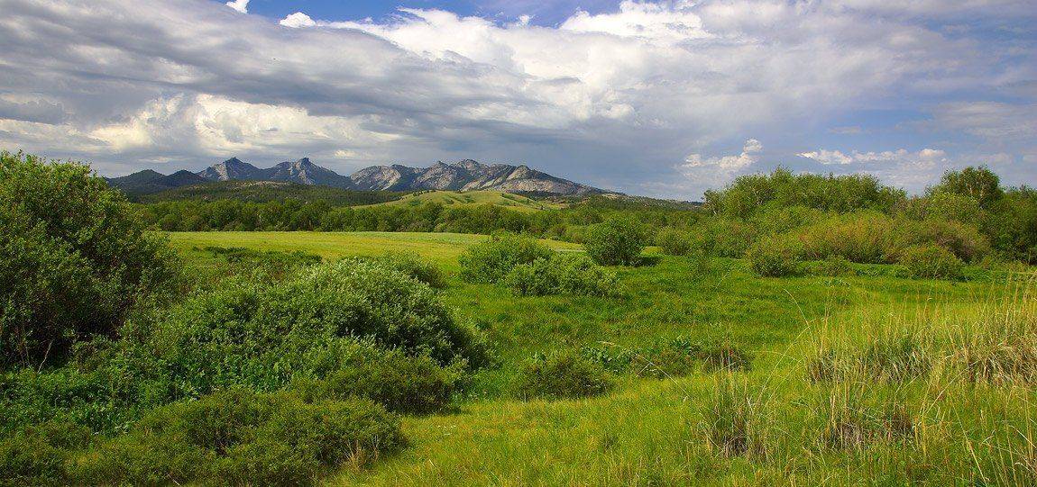 горы, Андрей Журавлев