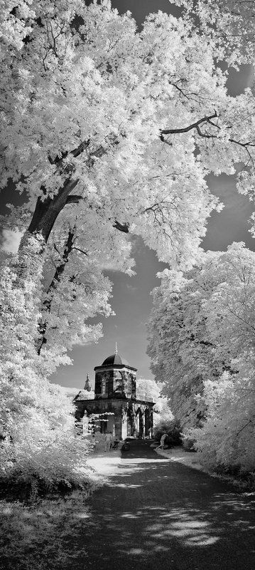 cecilienhof, infrared, neuer garten, potsdam, marmorpalais, gotische bibliothek, парк, дворец, потсдам, геримания  фото превью