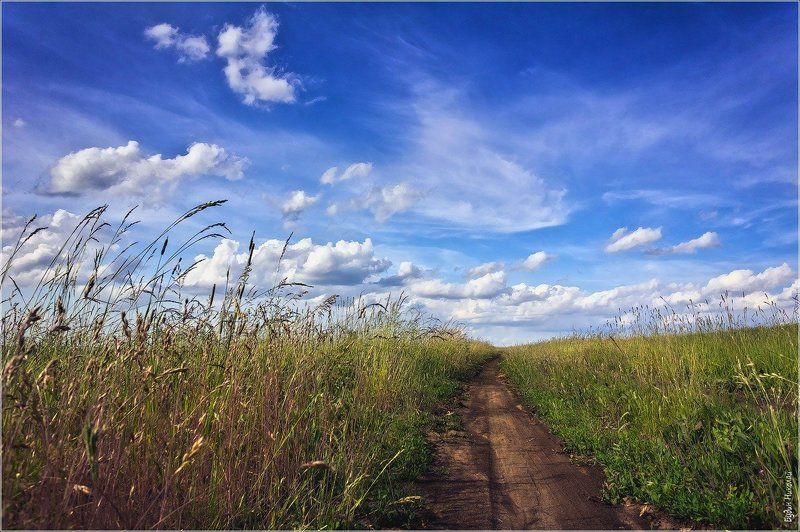 пейзаж, поле, тропинка, небо, облака Безыдейный пейзаж или что там за горизонтом... фото превью