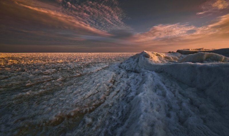 В последних лучах уходящего дня фото превью