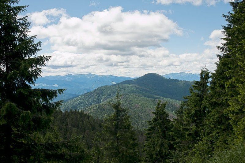 карпаты  фото превью