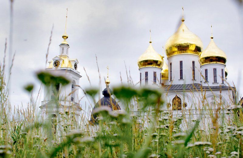 собор, дмитров, храм, церковь, лето  фото превью