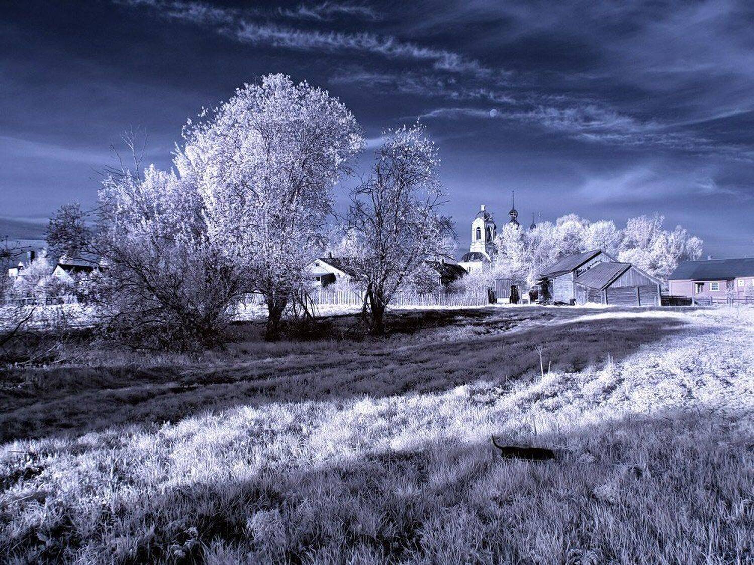 , Максим Евдокимов