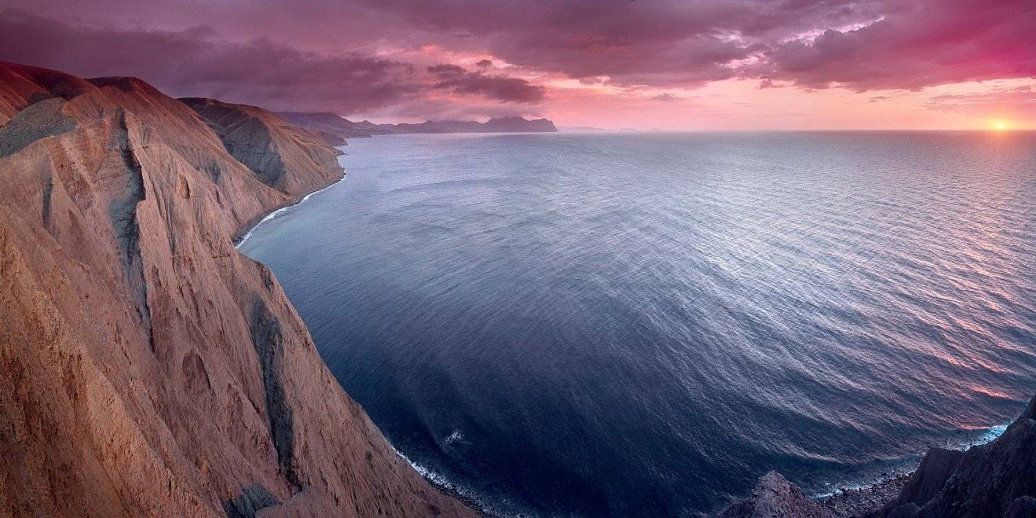 , Алексей Пучков