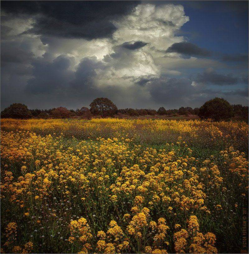 , Виктор Перякин