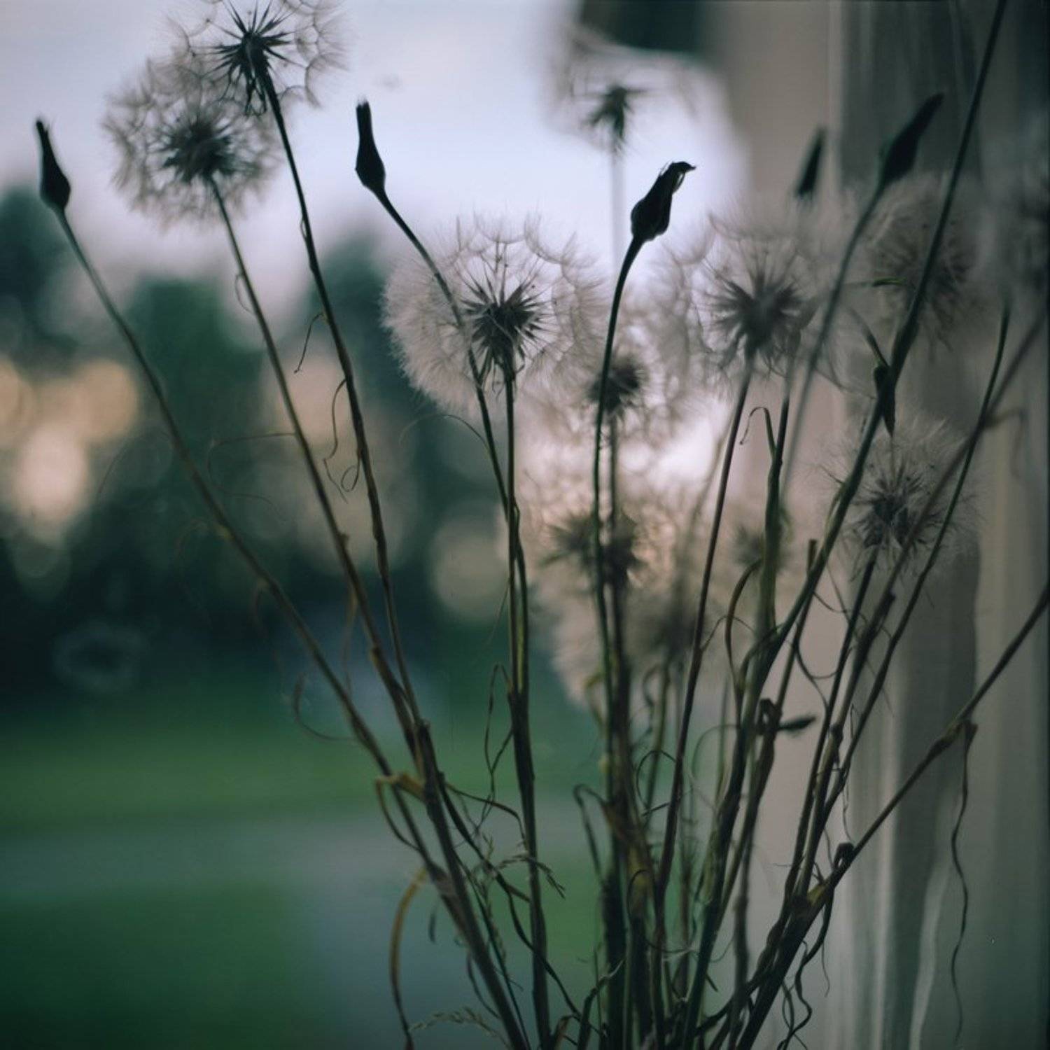 porta 160 nc, kiev 60, Vincent