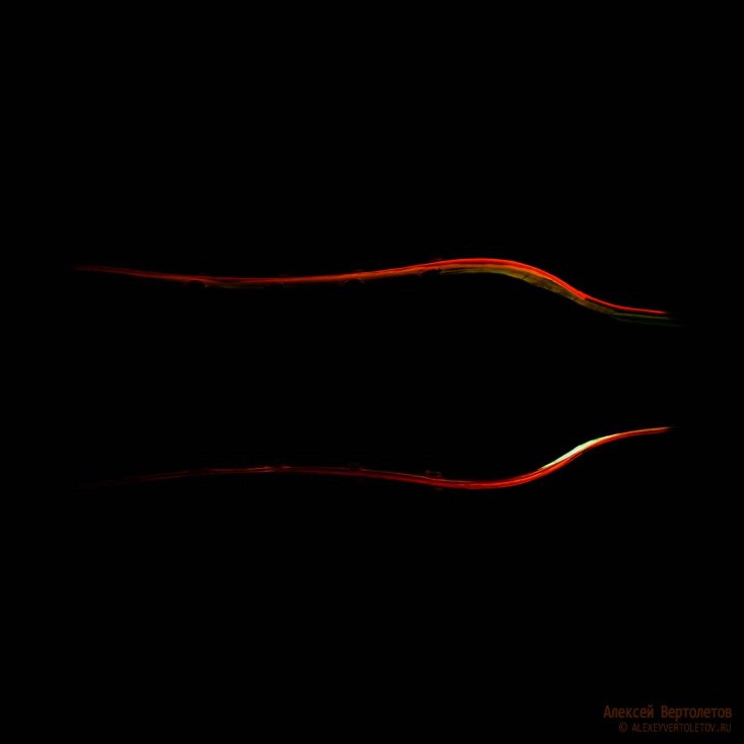 , Алексей Вертолетов