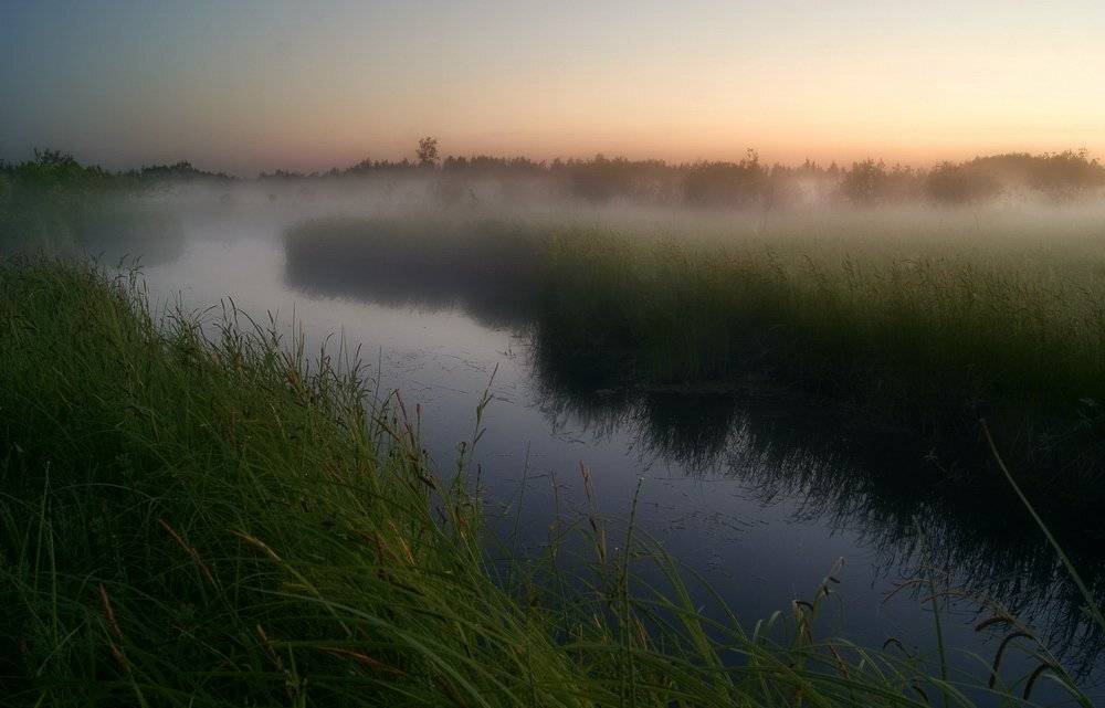 туман, белая, ночь, Andrey Raspopov