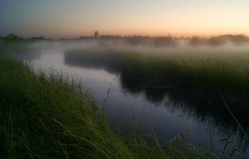 туман, белая, ночь  фото превью