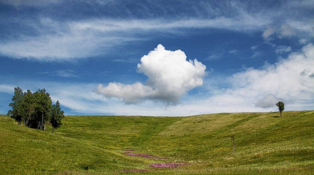июль, полдень, облака, Николай Морский