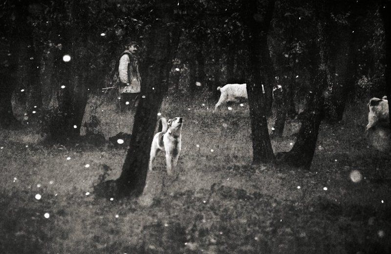 фото превью