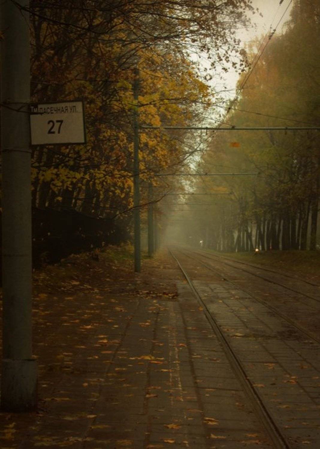 , Семёнова Юлия