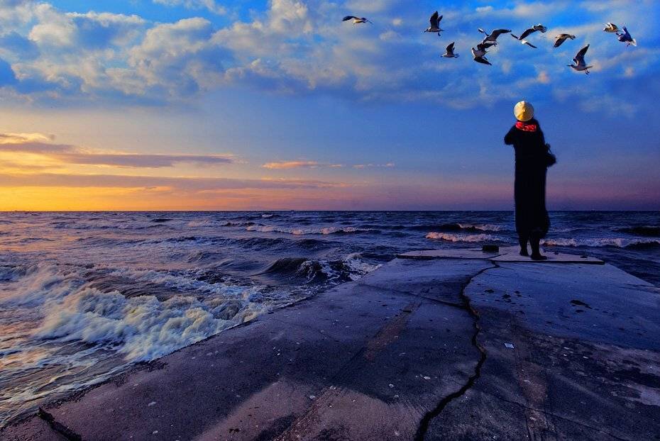 birds, mustafa yagci