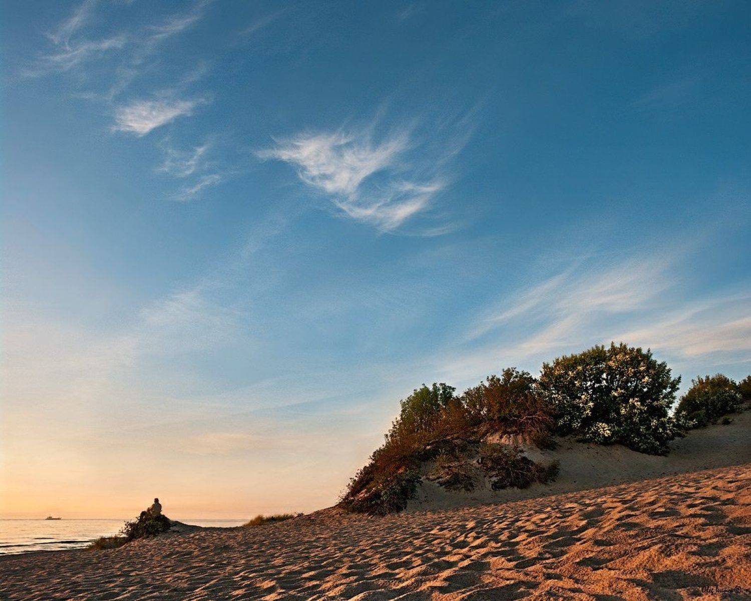 май, балтика, море, вечер, дюны, Олег Иванов