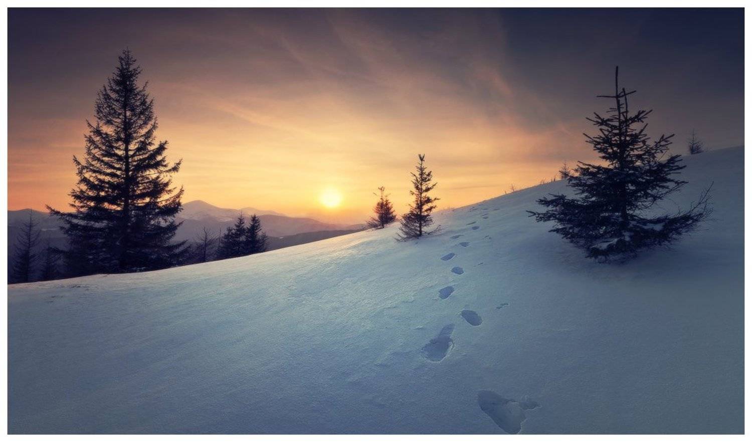 , Денис Кривой