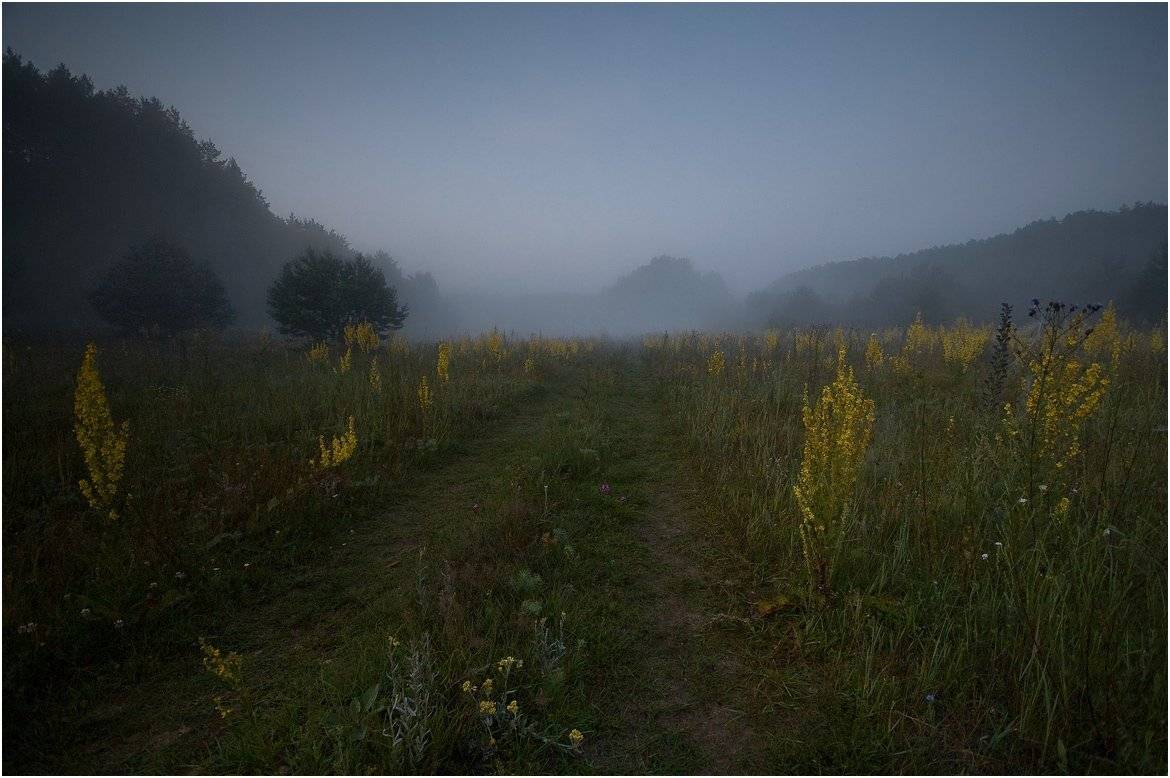 , Николай Шахманцир