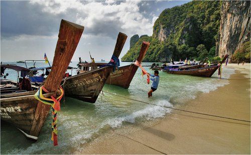 укрощение носорогов