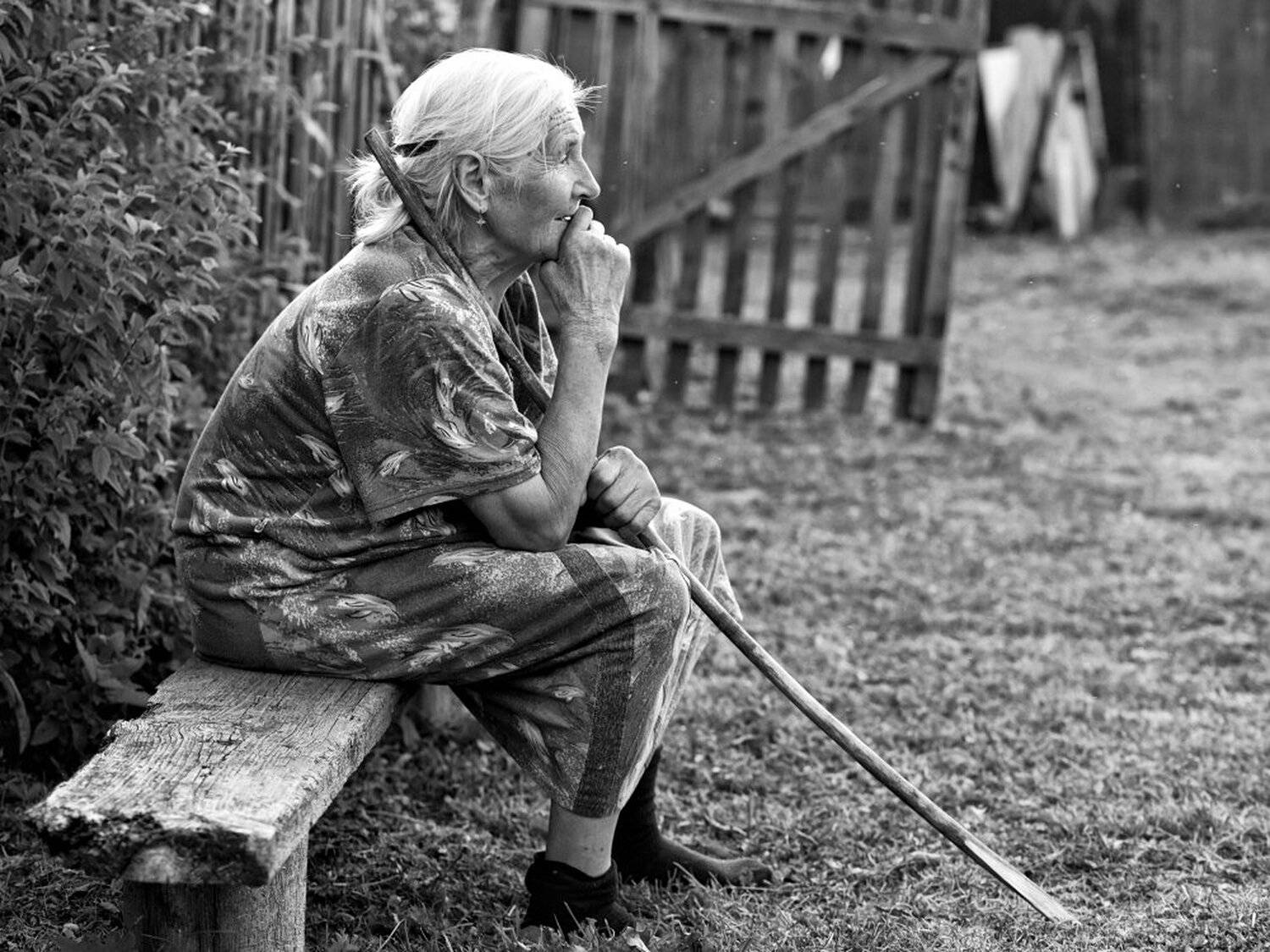 , Максим Евдокимов