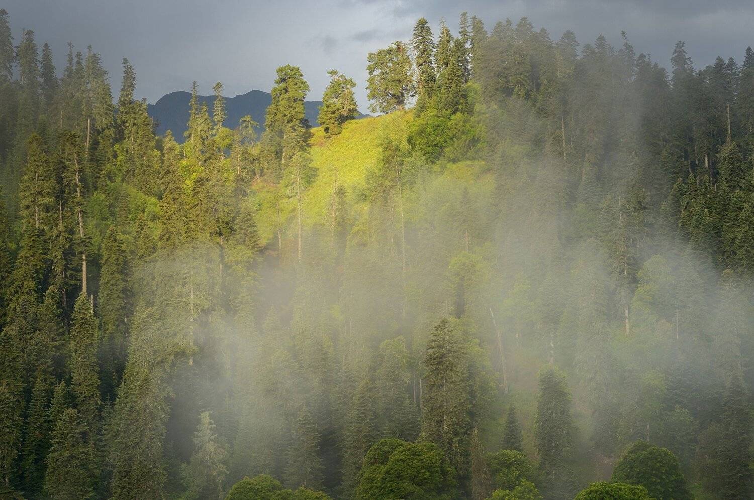 горы лето архыз, Александр Жарников