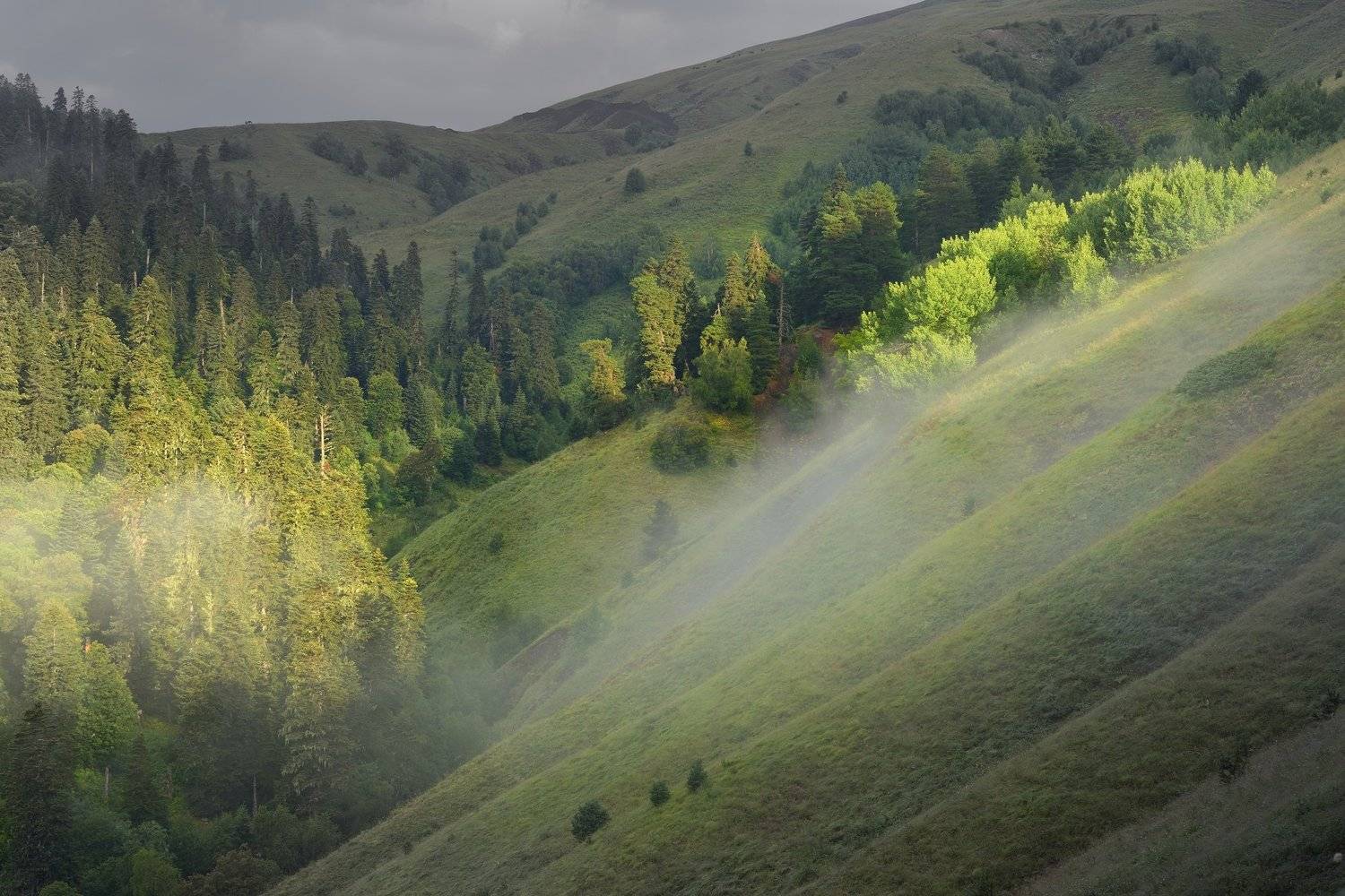 горы лето архыз, Александр Жарников