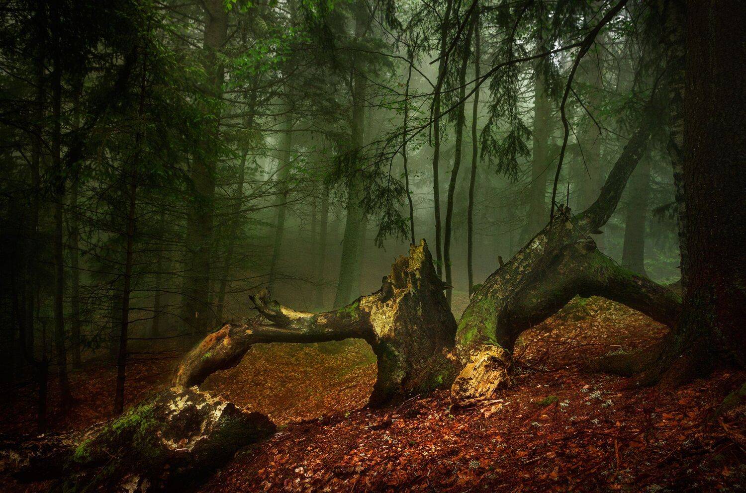 , Александър Александров