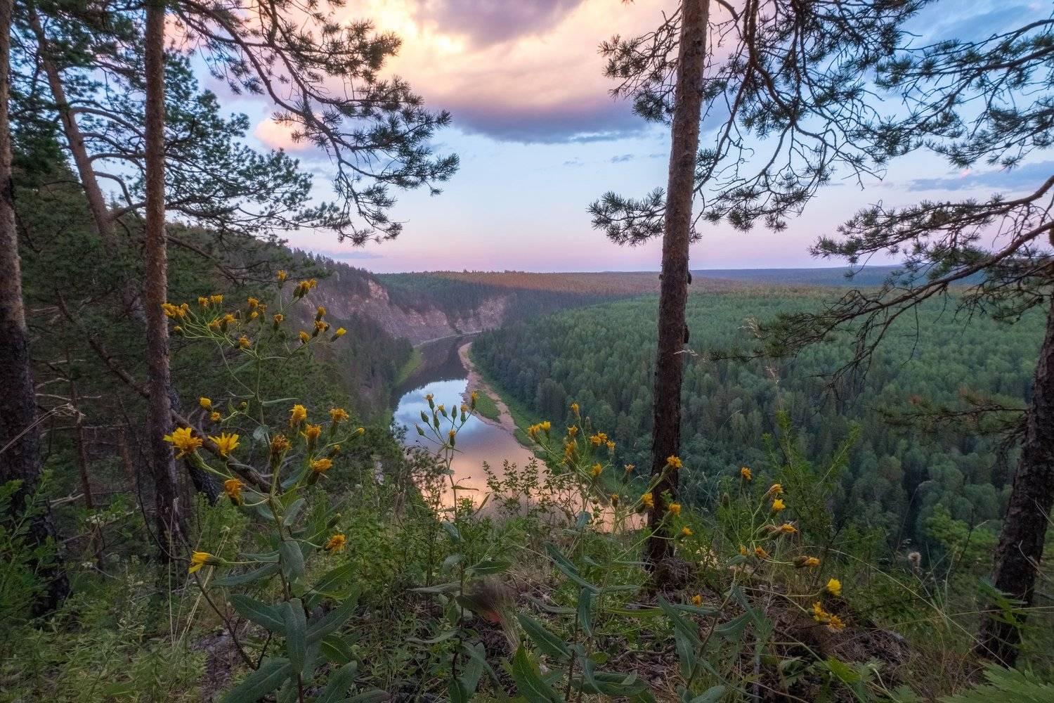 , Савицкий Ян