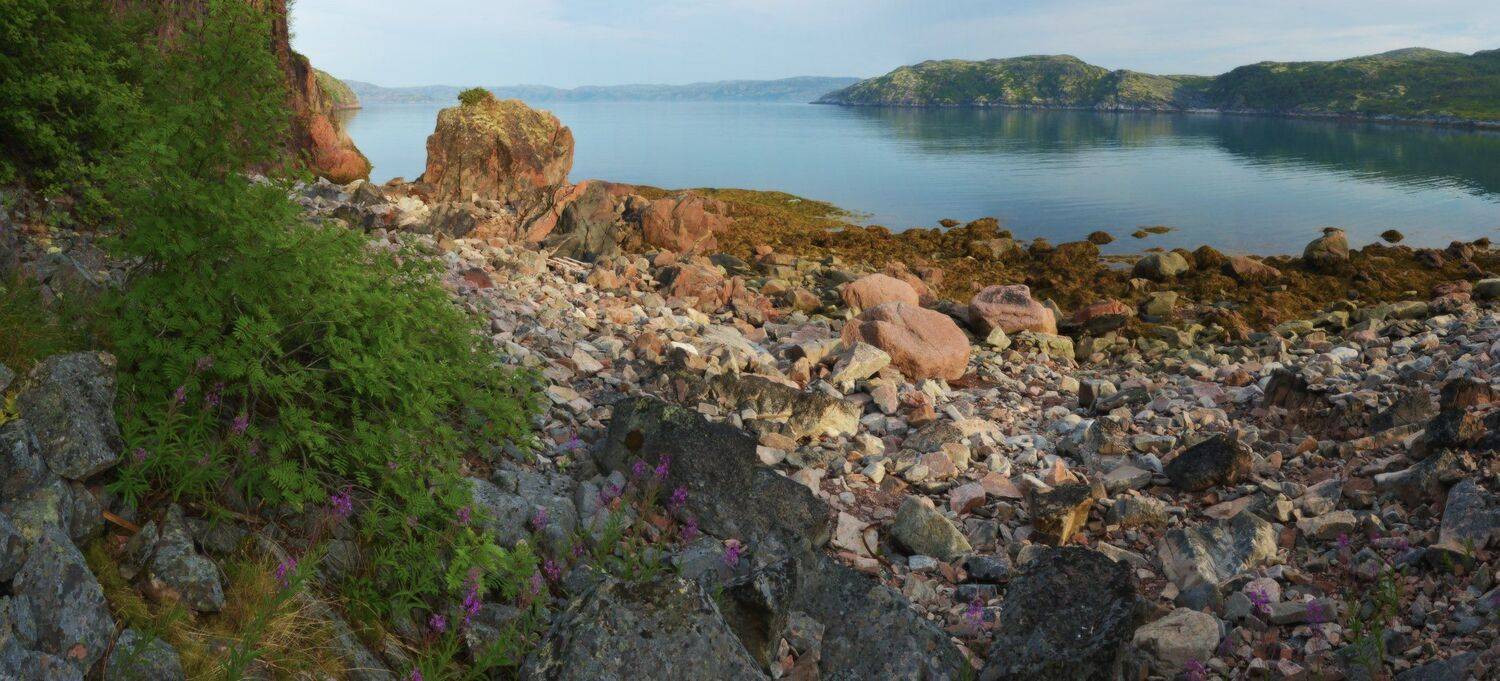 , Сергей Седов