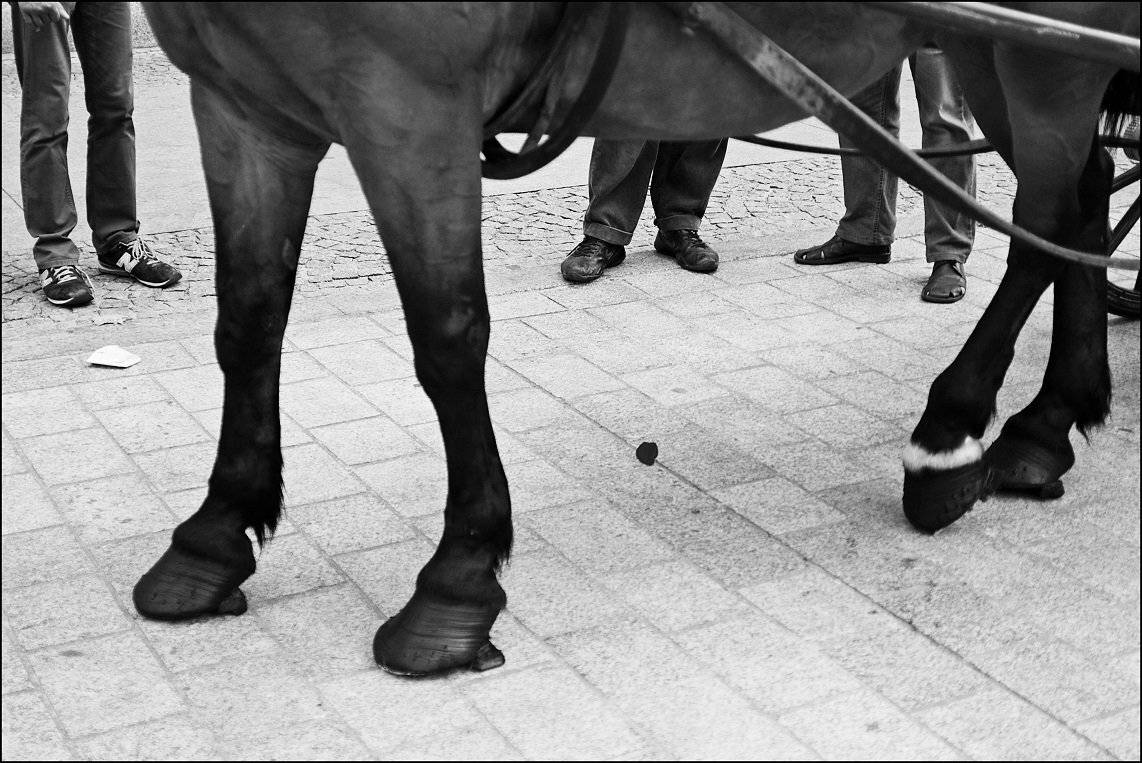 , Krzysztof Trojanowski