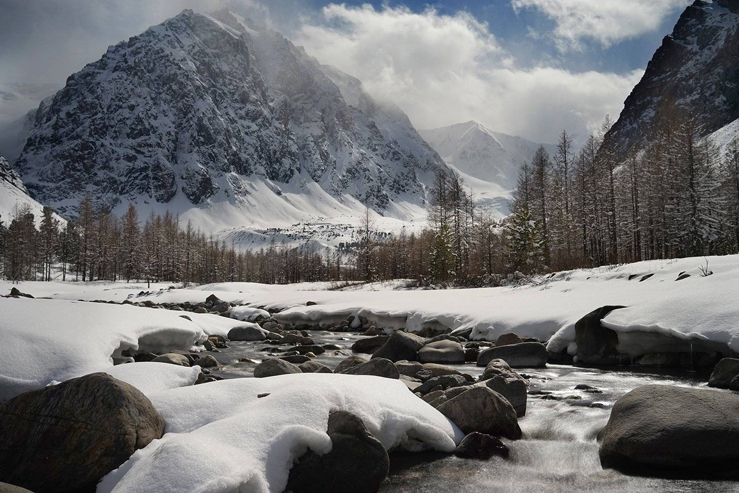 , Алексей Родак