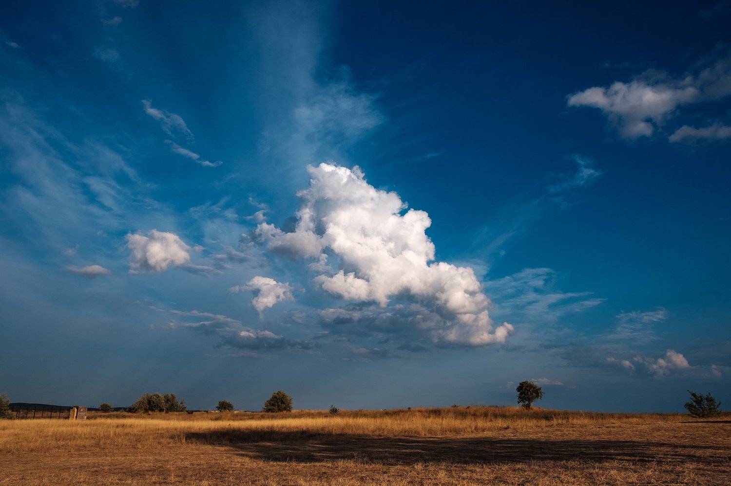 , Александр Буш