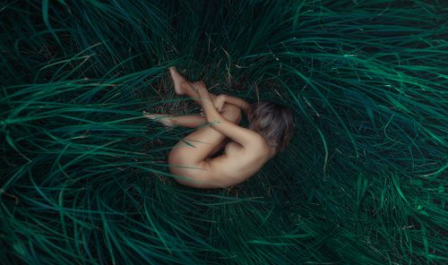 The Green Veil of Loneliness
