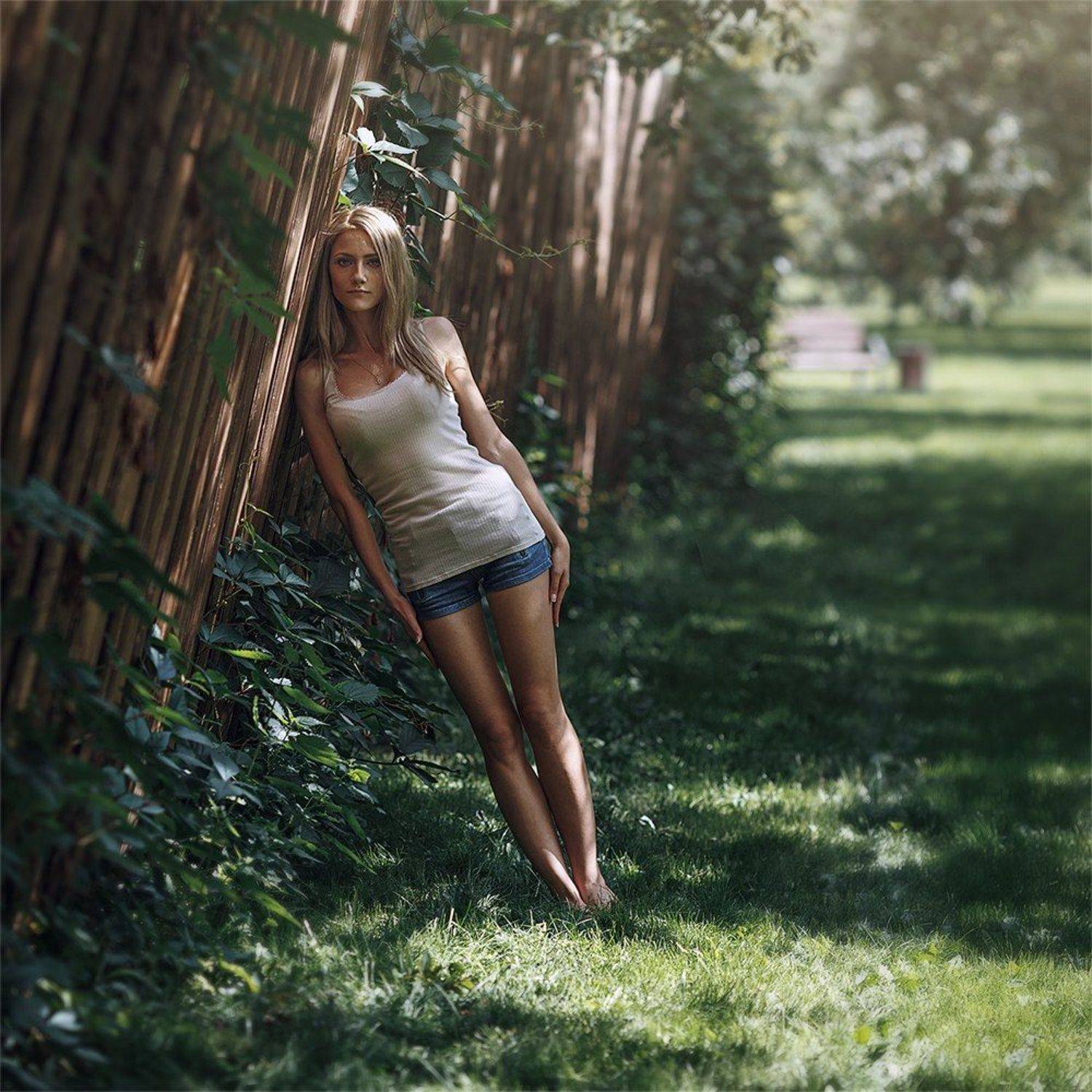 , Дмитрий Плеханов