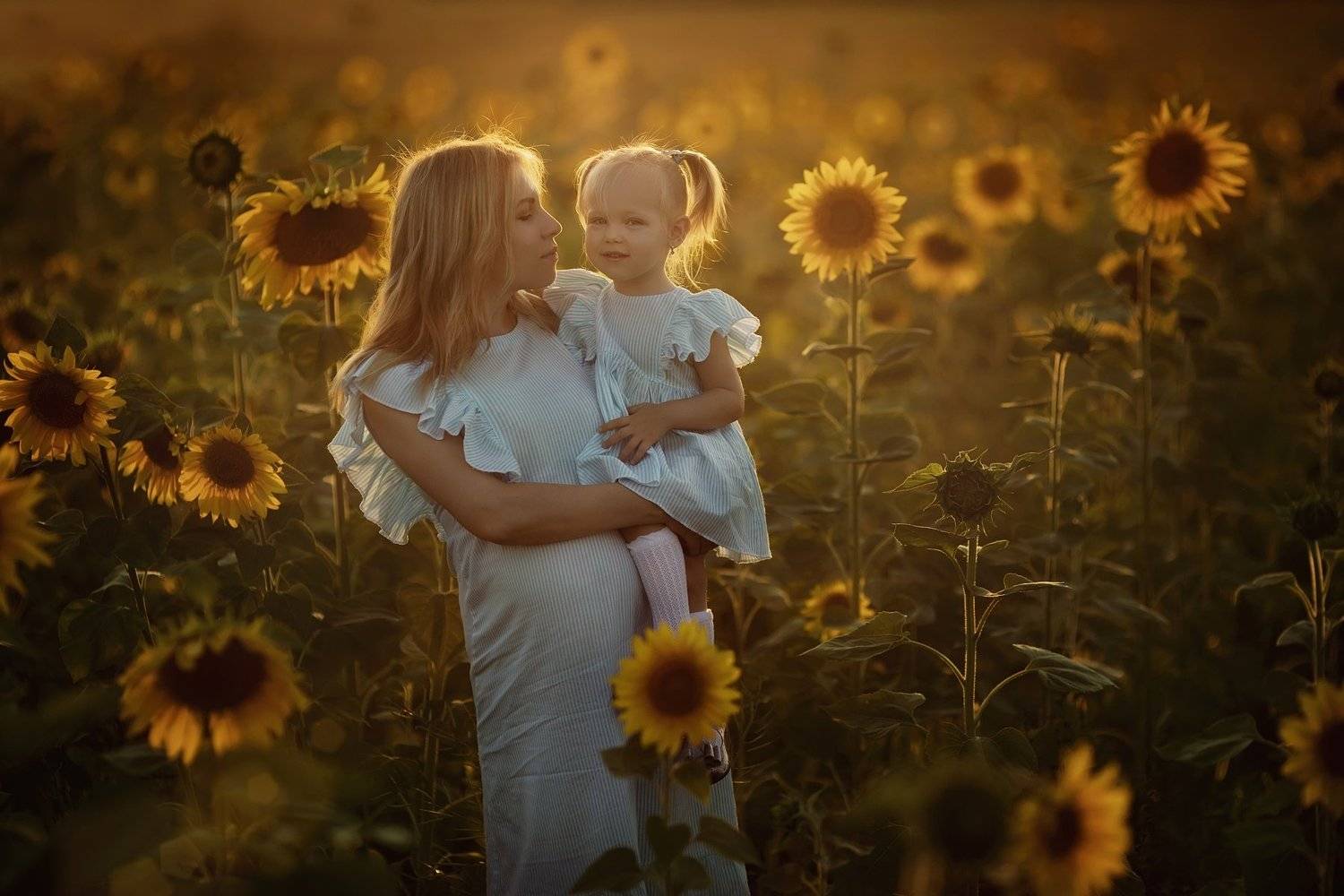 подсолнухи, закат, мама, ребенок, Журавель Саша