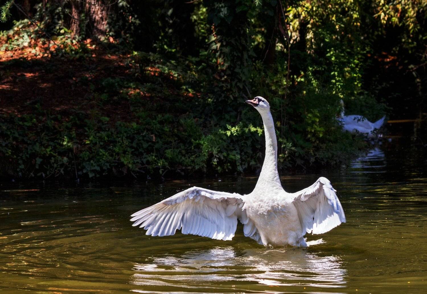 , Олег Богданов