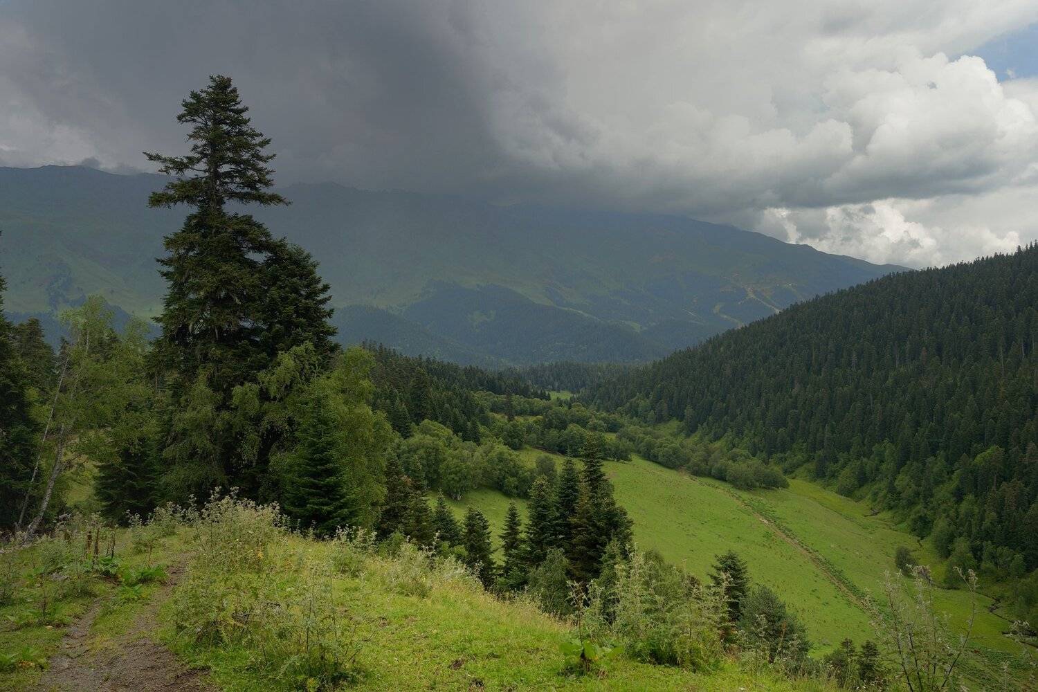 горы лето архыз, Александр Жарников