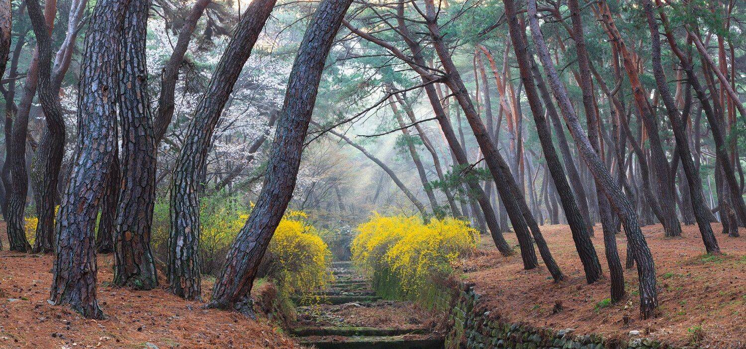 , Jaeyoun Ryu
