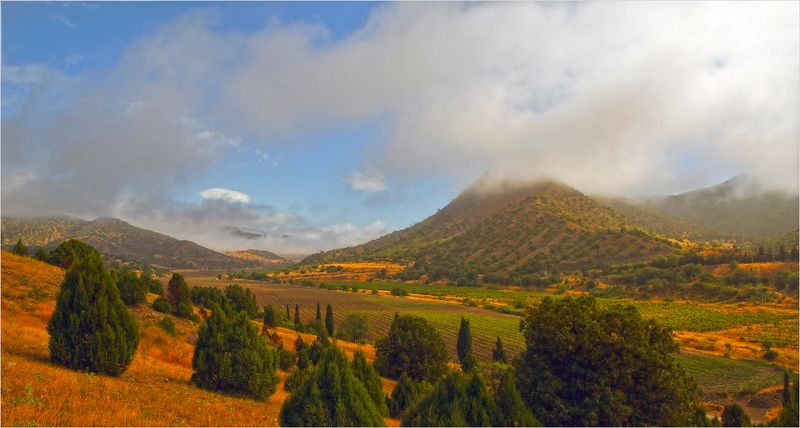 Веселая бухта фото превью