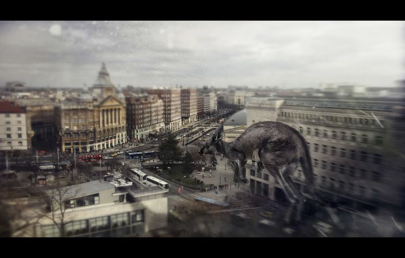 My world has disappeared фото превью