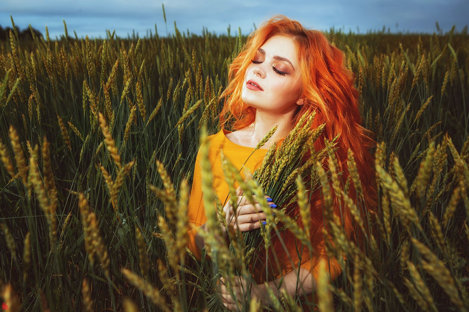 , Осипов Ёжъ Александр